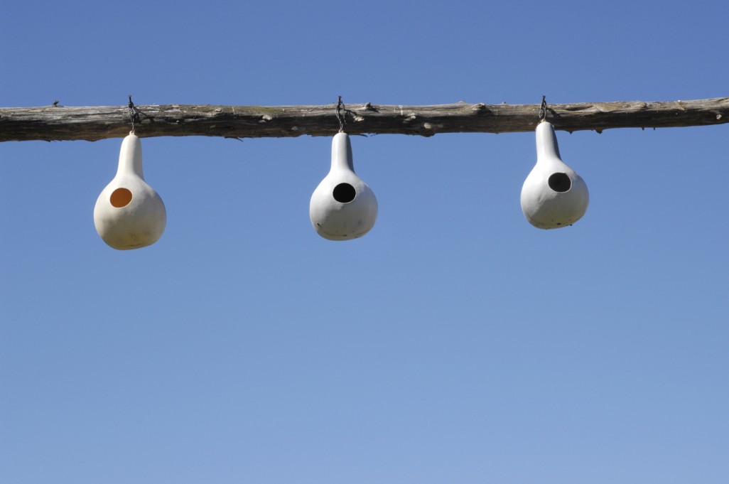 gourd-birdhouses